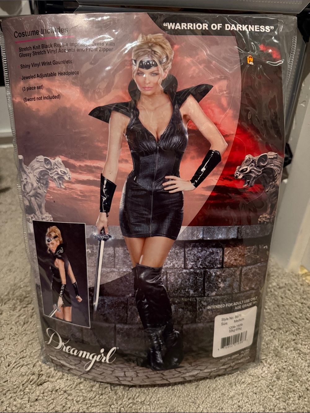 Dreamgirl Black Warrior of Darkness Costume